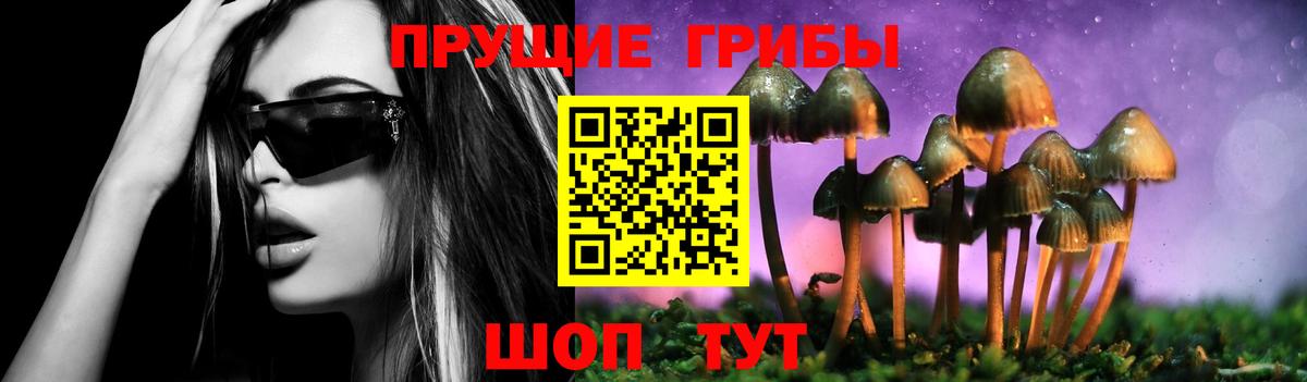 Галлюциногенные грибы GOLDEN TEACHER  Вход с VPN  Усть-Джегута 